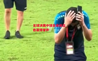 德信官网下载-足球决赛中球员表现出色赢得掌声