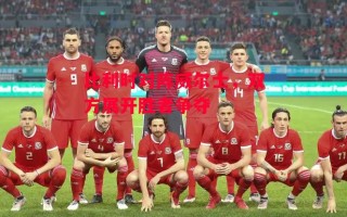 德信官网下载-比利时对阵威尔士，双方展开胜者争夺