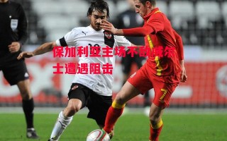 德信体育-保加利亚主场不敌威尔士遭遇阻击