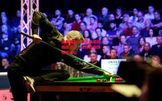 德信体育app下载-瑞典国家队费尔南德斯助攻绝杀，赢得欧洲锦标赛席位