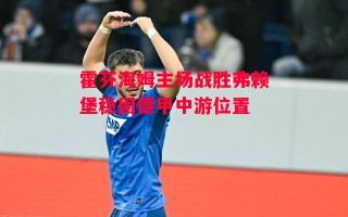 德信app下载-霍芬海姆主场战胜弗赖堡稳固德甲中游位置