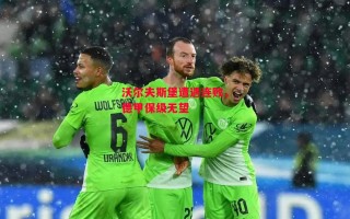 德信体育app下载-沃尔夫斯堡遭遇连败，德甲保级无望