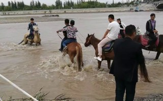 德信体育-荷兰运动员高抬雄鹰，夺金在望！