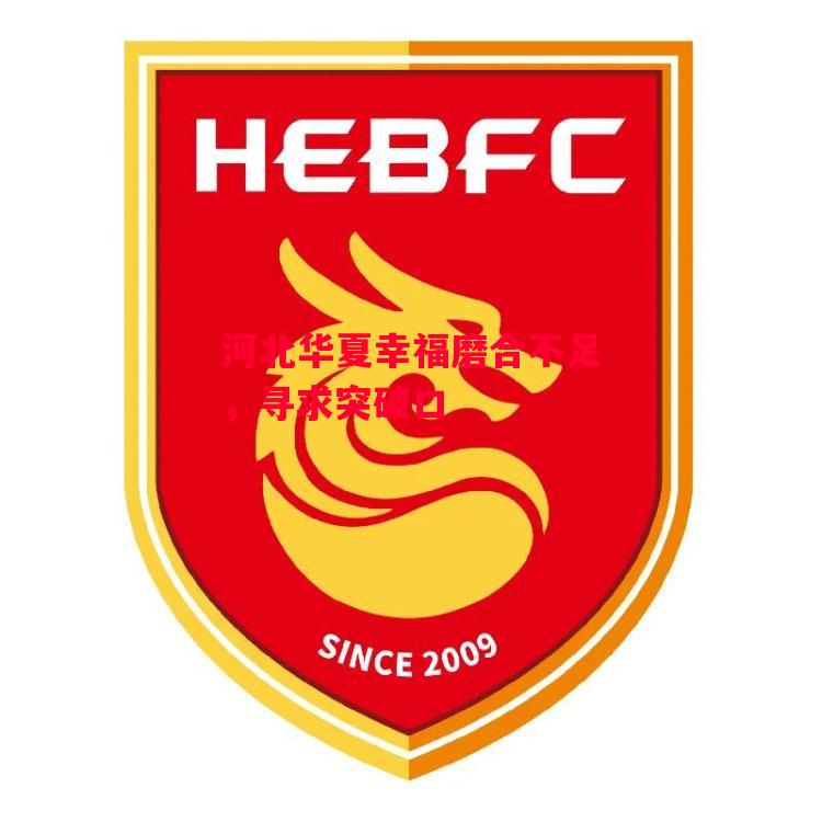 德信体育app下载-河北华夏幸福磨合不足，寻求突破口-第1张图片-德信体育