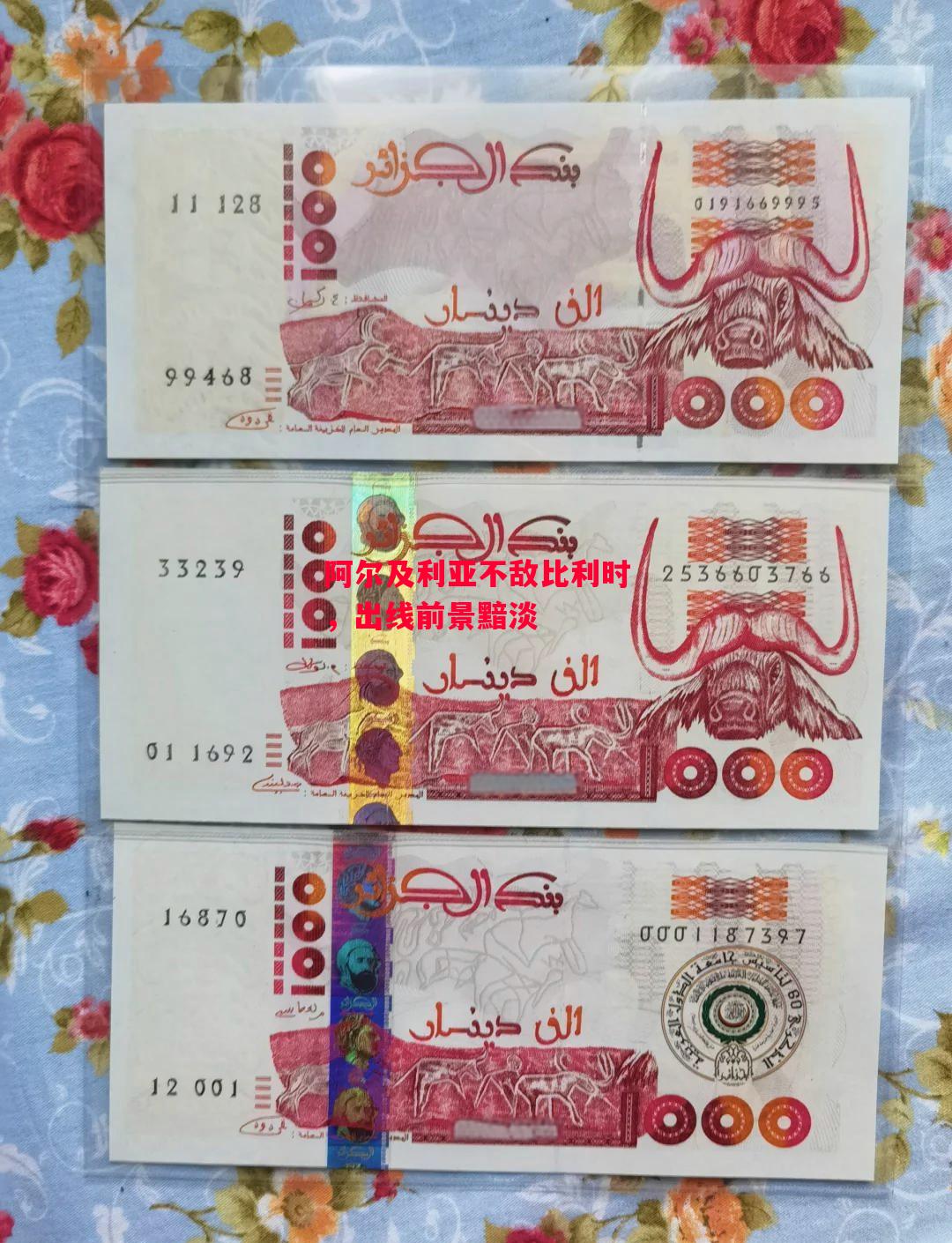 德信体育-阿尔及利亚不敌比利时，出线前景黯淡-第1张图片-德信体育