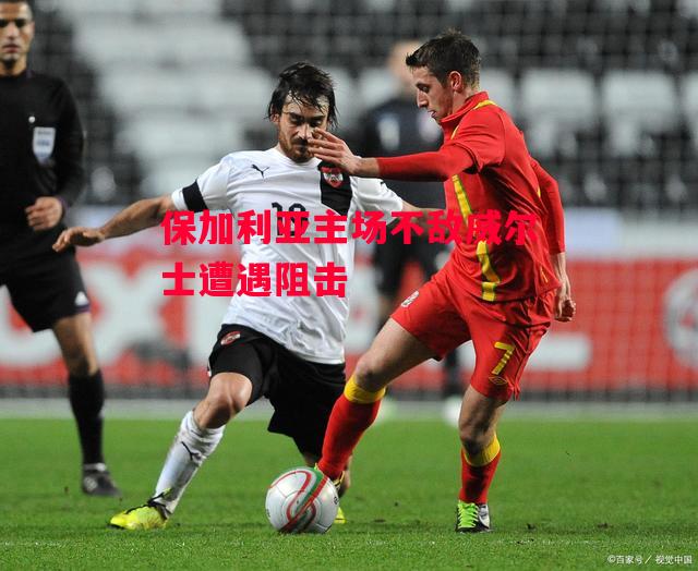 德信体育-保加利亚主场不敌威尔士遭遇阻击-第1张图片-德信体育