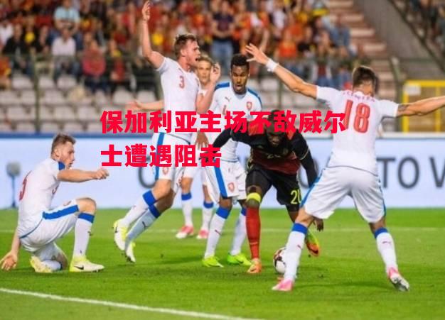 德信体育-保加利亚主场不敌威尔士遭遇阻击-第2张图片-德信体育