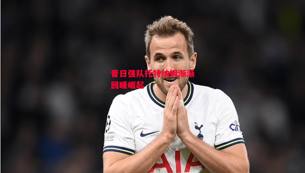 德信app-昔日强队托特纳姆渐渐回暖崛起-第1张图片-德信体育
