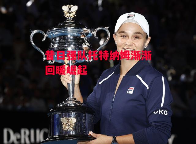 德信app-昔日强队托特纳姆渐渐回暖崛起-第2张图片-德信体育