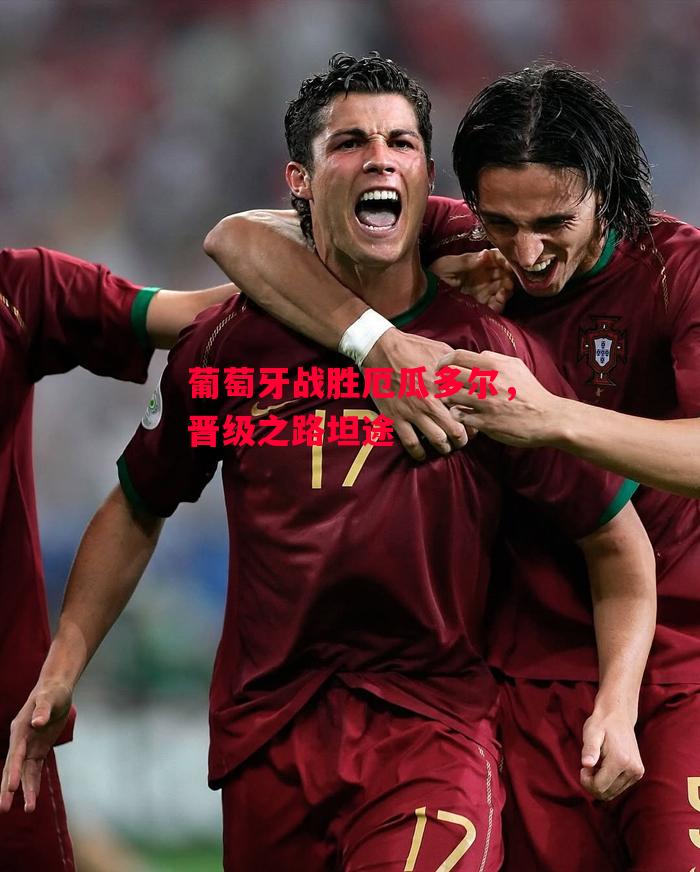 德信官网下载-葡萄牙战胜厄瓜多尔，晋级之路坦途-第2张图片-德信体育